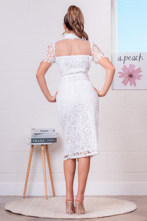 VESTIDO DE ENCAJE PD20163